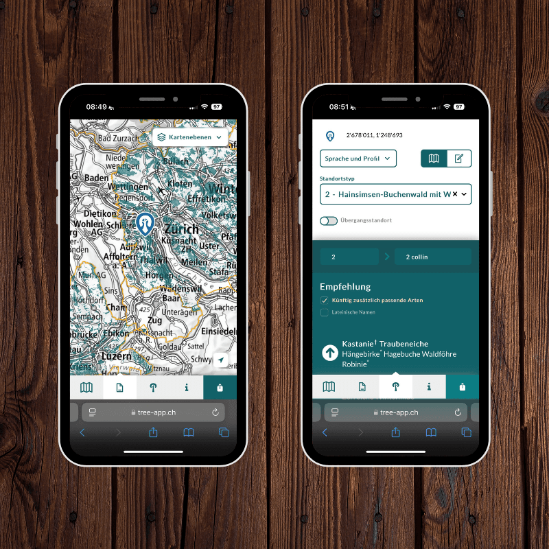 Digitale Entscheidungshilfe für klimaangepasste Wälder.
